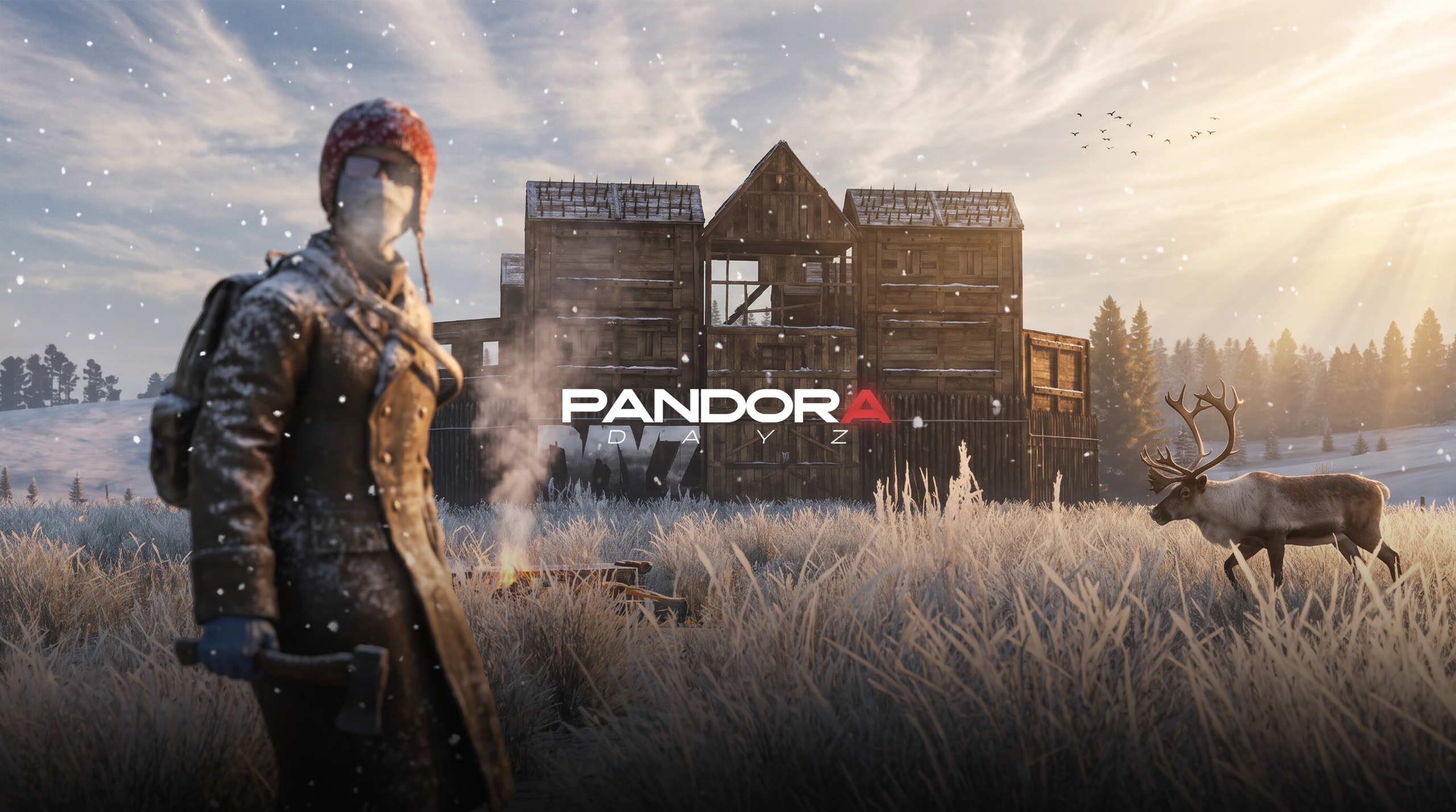 Banner Image